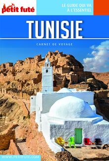 TUNISIE 2023 Carnet Petit Futé