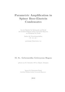 Parametric amplification in spinor Bose-Einstein condensates [Elektronische Ressource] / Gebremedhn Gebreyesus Hagoss