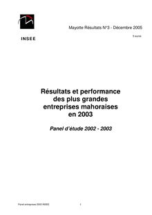 Résultats et performances des plus grandes entreprises mahoraises en 2003  (Panel détude 2002 - 2003)