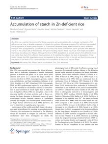 Accumulation of starch in Zn-deficient rice