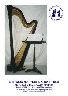 Mwynion Mai Flute & Harp Duo