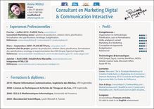 Consultant en Marketing Digital & Communication Interactive