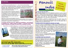 N°11 Fenouil Infos