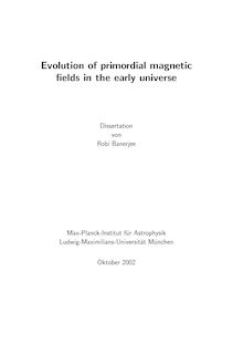Evolution of primordial magnetic fields in the early universe [Elektronische Ressource] / von Robi Banerjee