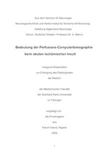 Bedeutung der Perfusions-Computertomographie beim akuten ischämischen Insult [Elektronische Ressource] / vorgelegt von Jite Erharhaghen