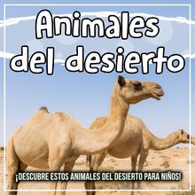 Animales del desierto: ¡Descubre estos animales del desierto para niños!