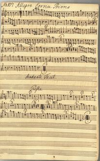 Partition Corno Primo, Concerto Ex D# a 8 stim, D major, Anderssen