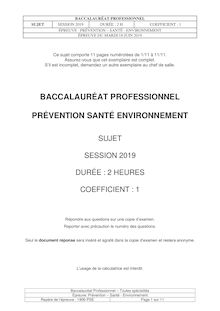 Baccalauréat Professionnel 2019 Prévention Santé Environnement  (PSE)