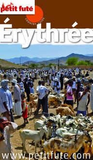 Erythrée 2012 Petit Futé