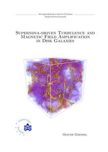 Supernova-driven turbulence and magnetic field amplification in disk galaxies [Elektronische Ressource] / Oliver Gressel