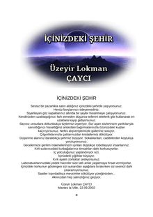 Üzeyir Lokman ÇAYCI : LA VILLE QUI EST EN VOUS