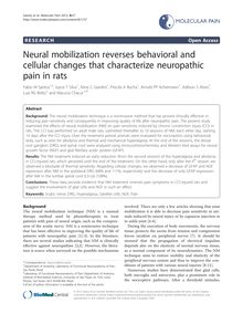 Neural mobilization reverses behavioral and cellular changes that characterize neuropathic pain in rats