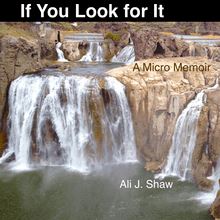 If You Look for It: A Micro Memoir