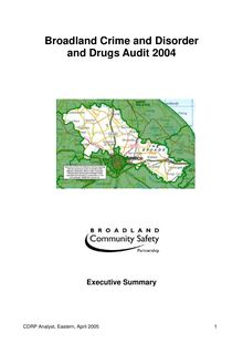 Crime & Disorder & Drugs Audit 2004 - Executive Summary