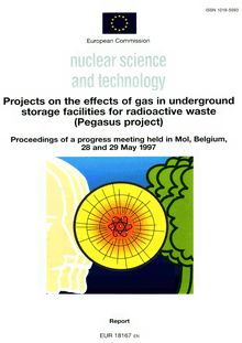 Projects on the effects of gas in underground storage facilities for radioacive waste (Pegasus project)