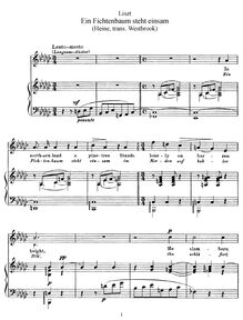 Partition complète (S.309bis), Ein Fichtenbaum steht einsam II par Franz Liszt