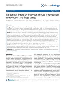 Epigenetic interplay between mouse endogenous retroviruses and host genes