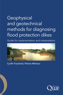 Geophysical and Geotechnical Methods for Diagnosing Flood Protection Dikes