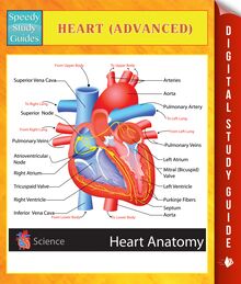 Heart (Advanced) Speedy Study Guides