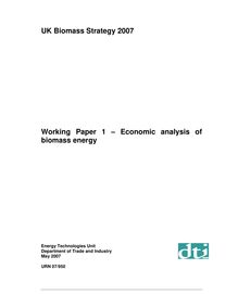 UK Biomass strategy 2007 : Working Paper 1. Economic analysis of biomass energy.