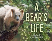 A Bear s Life