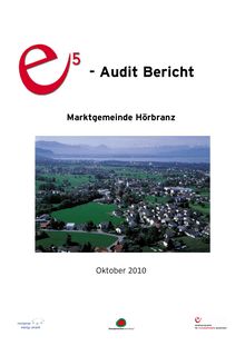 Audit-Bericht Hörbranz 2010