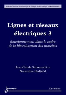 Lignes et réseaux électriques 3: fonctionnement dans le cadre de la libéralisation des marchés (Coll. Sciences & Technologies de l Énergie Électrique)