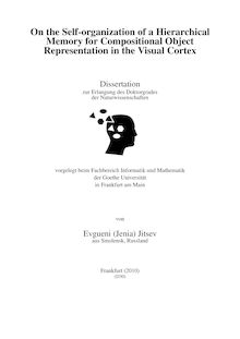 On the self-organization of a hierarchical memory for compositional object representation in the visual cortex [Elektronische Ressource] / von Evgueni (Jenia) Jitsev
