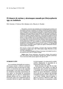 El chancro de encinas y alcornoques causado por Botryosphaeria spp. en Andalucía