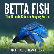 Betta Fish: The Ultimate Guide to Keeping Bettas