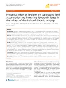 Preventive effect of Ibrolipim on suppressing lipid accumulation and increasing lipoprotein lipase in the kidneys of diet-induced diabetic minipigs