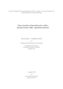 Gene transfer of keratinocytes with a human factor XIII plasmid construct [Elektronische Ressource] / vorgelegt von Laura Gabriella Horváth