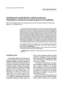Incidencia de la podredumbre radical causada por Phytophthora cinnamomi en masas de Quercus en Andalucía