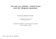 The pre Lie relation rooted trees and the Magnus expansion