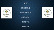 Buy Shatter Wholesale Canada- Marys Secret