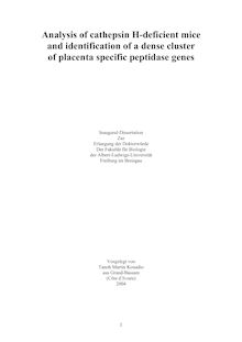 Analysis of cathepsin H-deficient mice and identification of a dense cluster of placenta specific peptidase genes [Elektronische Ressource] / vorgelegt von Taneh Martin Kouadio