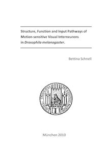 Structure, function and input pathways of motion-sensitive visual interneurons in Drosophila melanogaster [Elektronische Ressource] / vorgelegt von Bettina Schnell