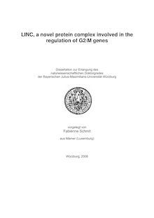LINC, a novel protein complex involved in the regulation of G2-M genes [Elektronische Ressource] / vorgelegt von Fabienne Schmit