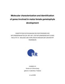Molecular characterization and identification of genes involved in maize female gametophyte development [Elektronische Ressource] / vorgelegt von Kanok-orn Srilunchang
