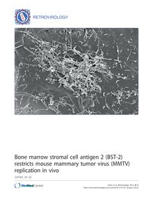 Bone marrow stromal cell antigen 2 (BST-2) restricts mouse mammary tumor virus (MMTV) replication in vivo