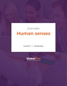 Human senses