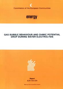 Gas bubble behaviour and ohmic potential drop during water electrolysis