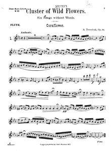 Partition flûte , partie, Feldblumen, Cluster of wild flowers. 6 songs without words for flute solo with piano accompaniment. Op. 94.
