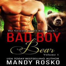 Bad Boy Bear, Vol 1