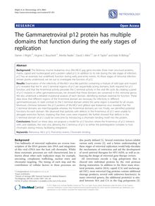 The Gammaretroviral p12 protein has multiple domains that function during the early stages of replication