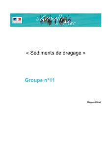 Grenelle de la mer - Rapport du Comité opérationnel Sédiments de dragage