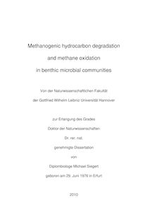 Methanogenic hydrocarbon degradation and methane oxidation in benthic microbial communities [Elektronische Ressource] / Michael Siegert