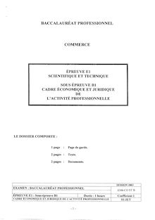 Bacpro commerce cadre economique et juridique de l activite professionnelle 2003