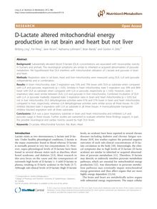 D-Lactate altered mitochondrial energy production in rat brain and heart but not liver