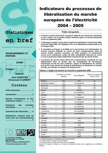 Indicateurs du processus de libéralisation du marché européen de l électricité 2004 - 2005